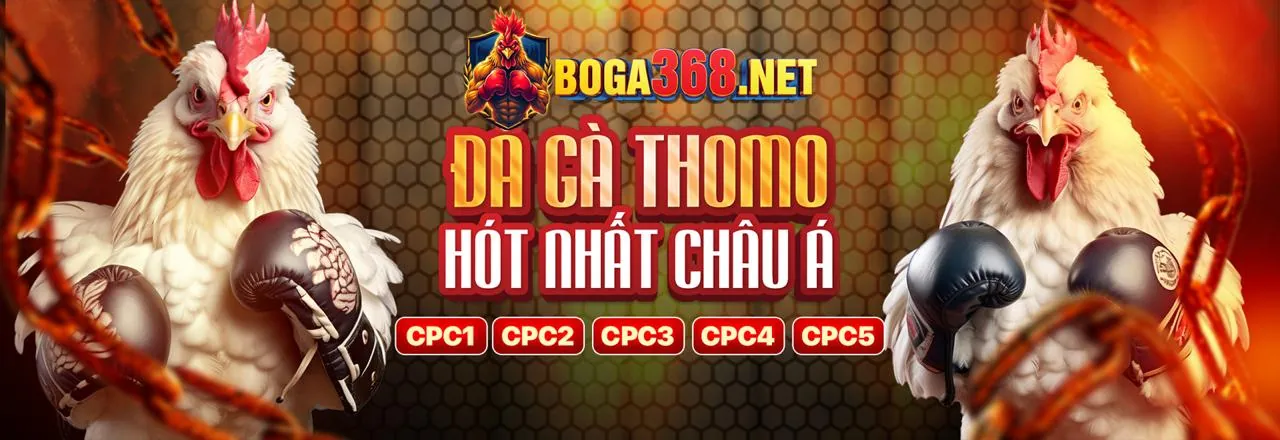 Sân vận động với ánh đèn rực rỡ và logo momo88 chính thức, tượng trưng cho cá cược thể thao đỉnh cao