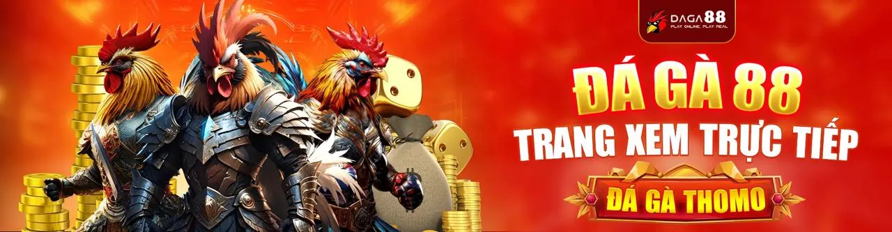 Đá Gà Trực Tuyến momo88 chính thức