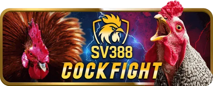 Bước 3: Bắt Đầu Chơi Casino