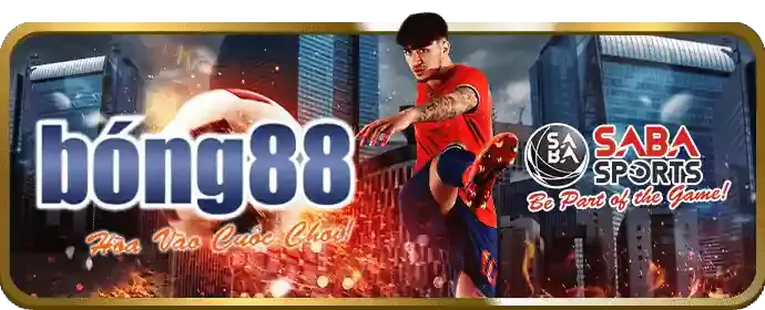 Các sản phẩm cá cược đa dạng của momo88 chính thức